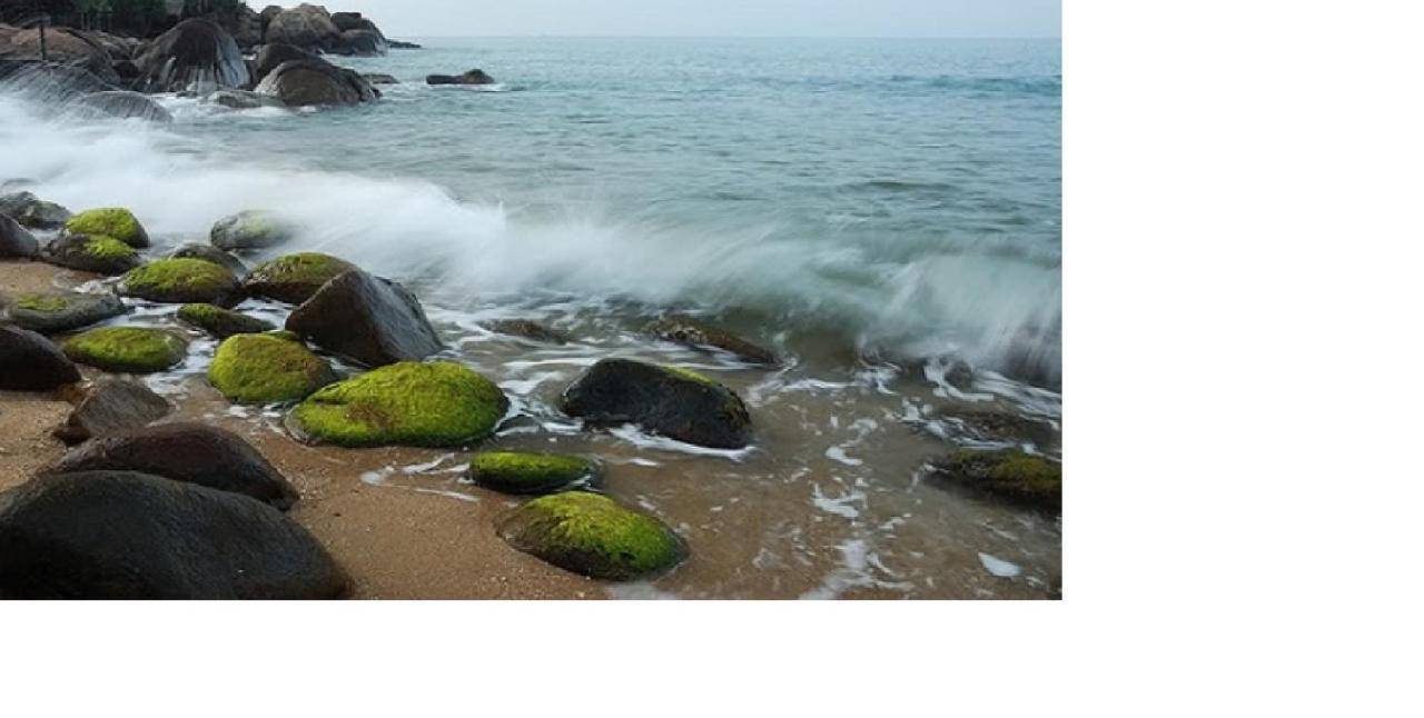 Da Nang Minh Hai Esterno foto