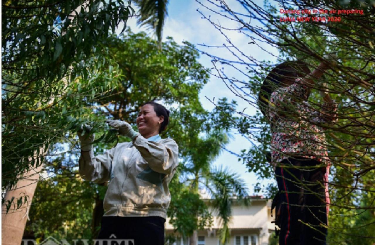 Da Nang Minh Hai Esterno foto